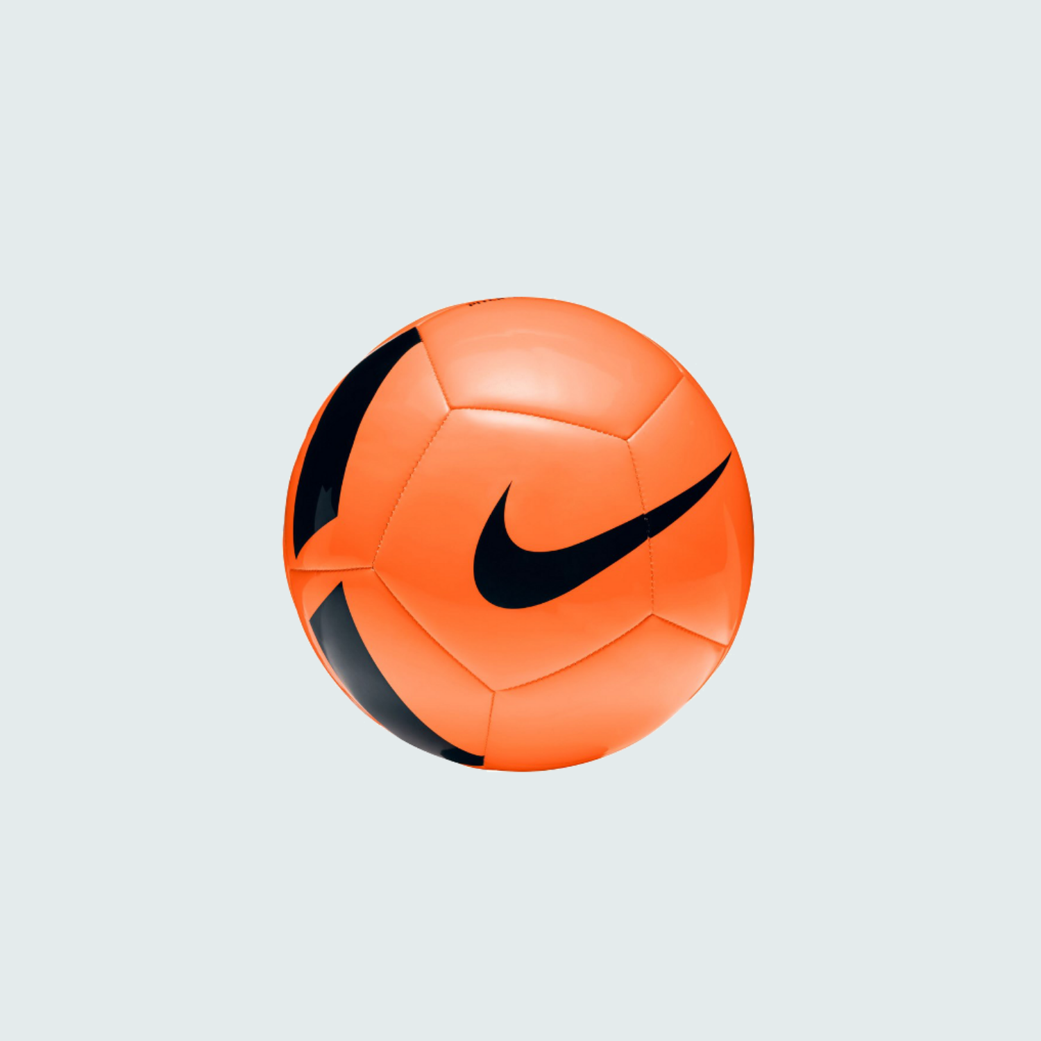 Pelota Pitch Training Nike