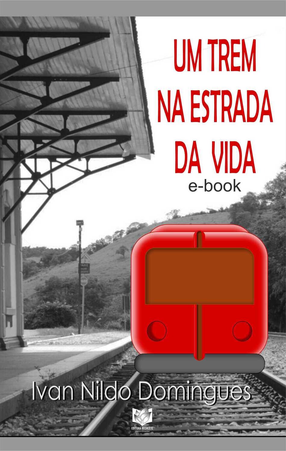 Um trem na estrada da vida