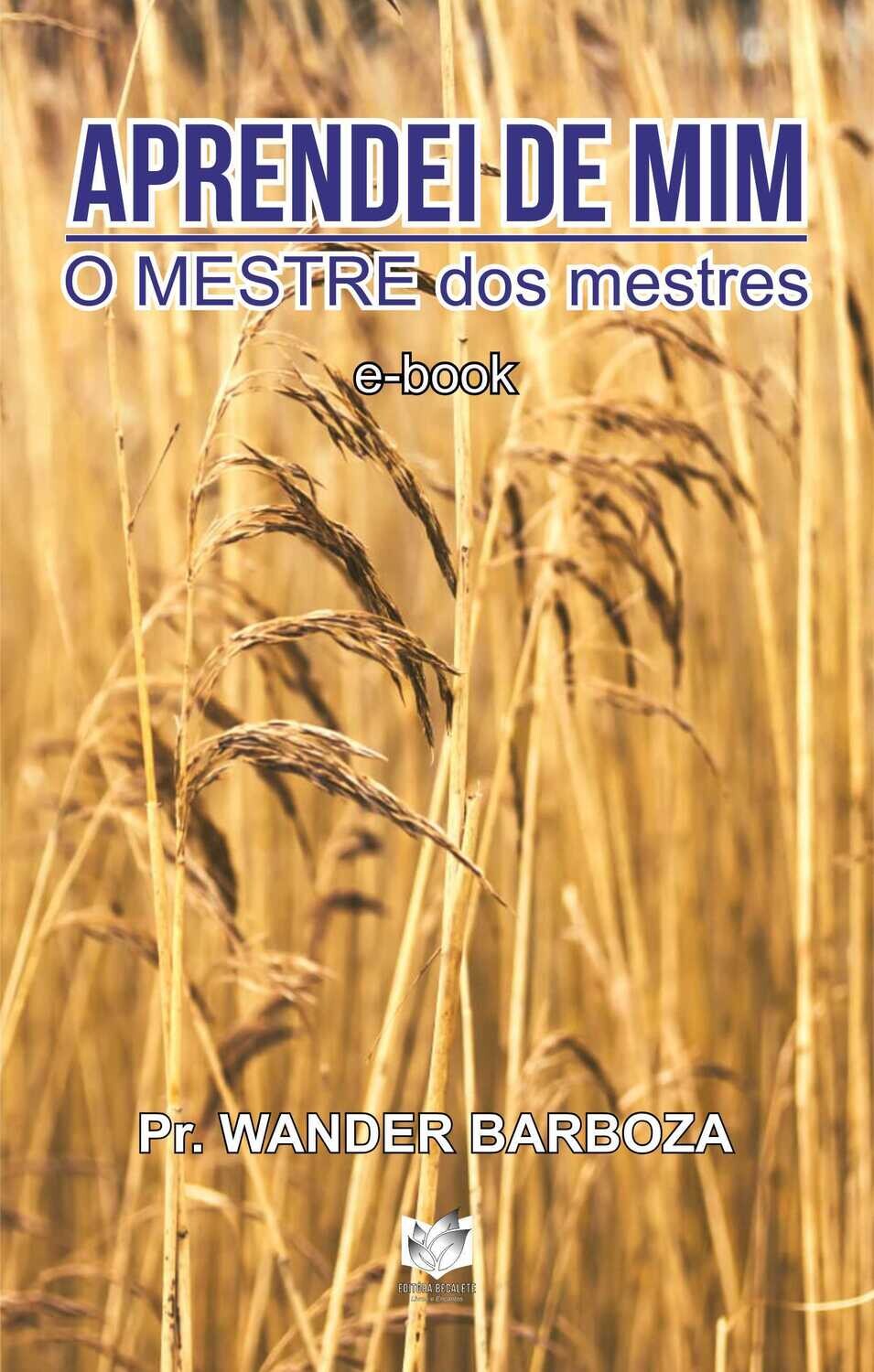 Aprendei de Mim - O Mestre dos mestres