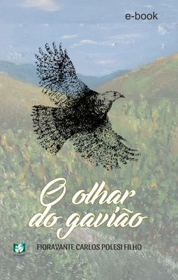 O olhar do gavião