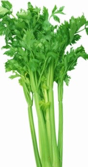 Celery (Sold Per 300g)