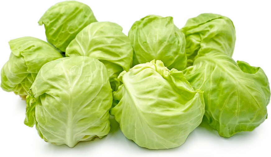 Cabbage (Summer) approximately 3 Lbs