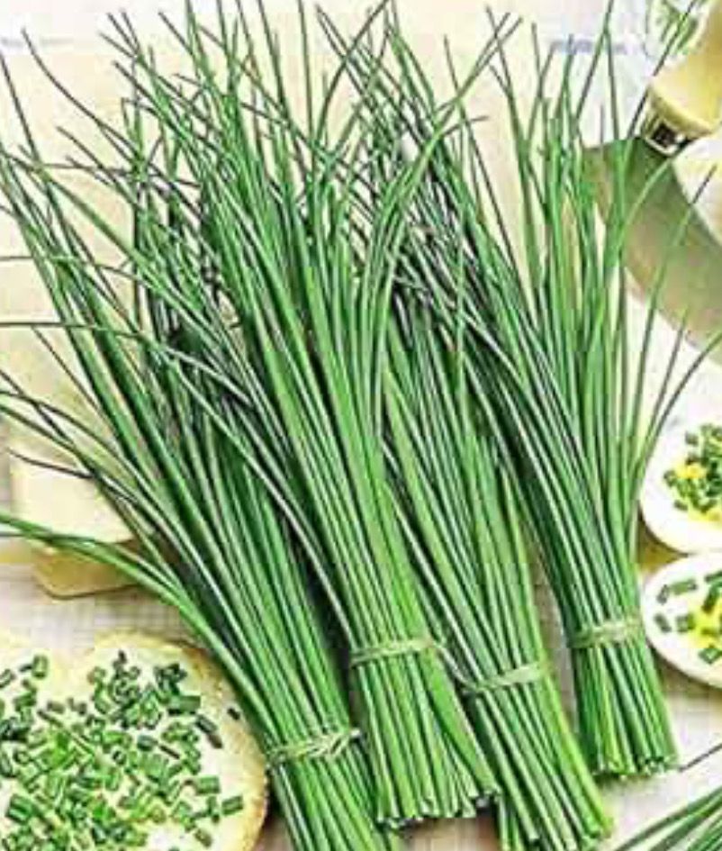 Freeze Dried Chives 5g