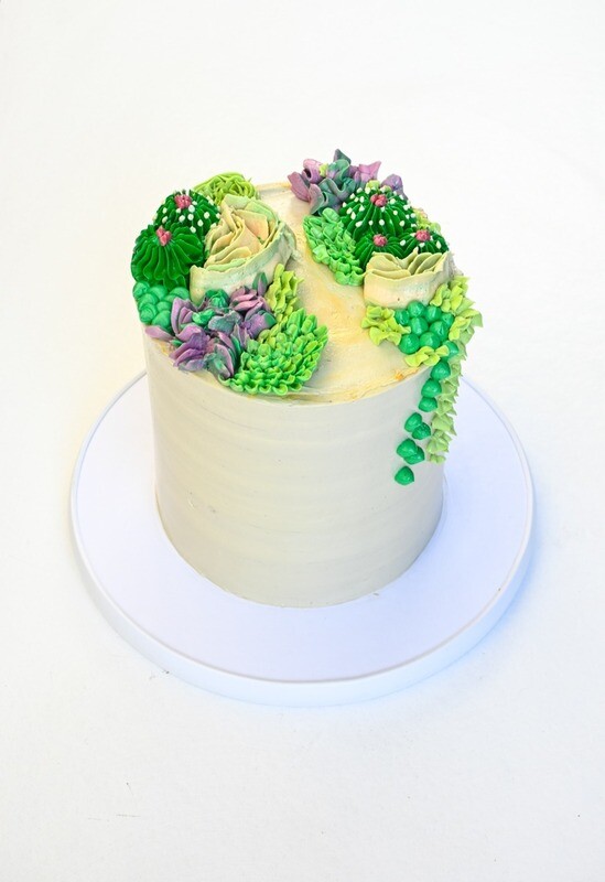 Succulent Cake