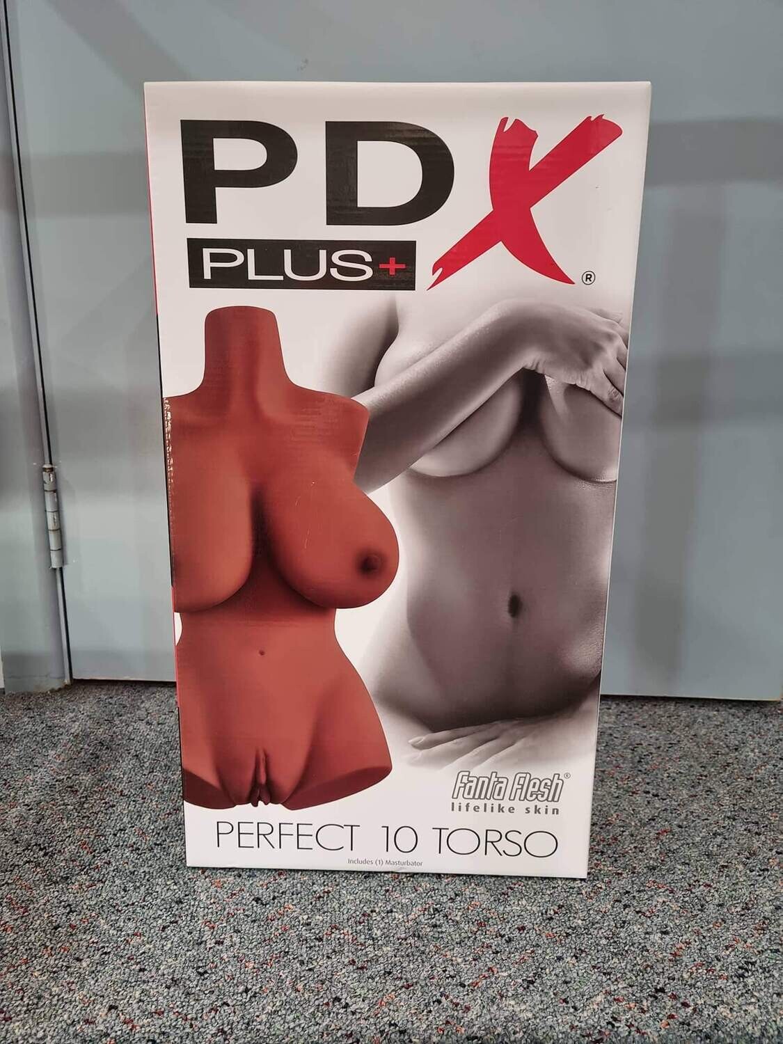 PDX  PLUS - PERFECT 10 TORSO