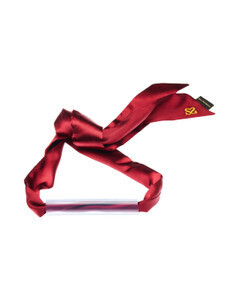 SHARE SATISFACTION - BAR GAG