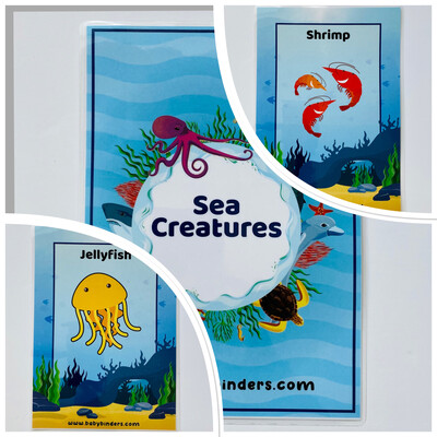 Sea Animals Flash Cards (A5 Size)