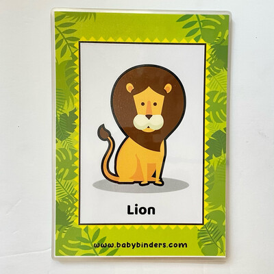 Zoo Animals Flash Cards (A5 Size)