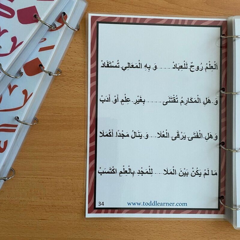 Arabic Reading Foundation Book Series for Kids. Level 4