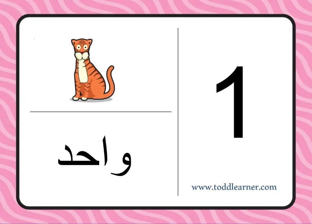 Reusable Arabic Number Cards For Kids. (1-20)
