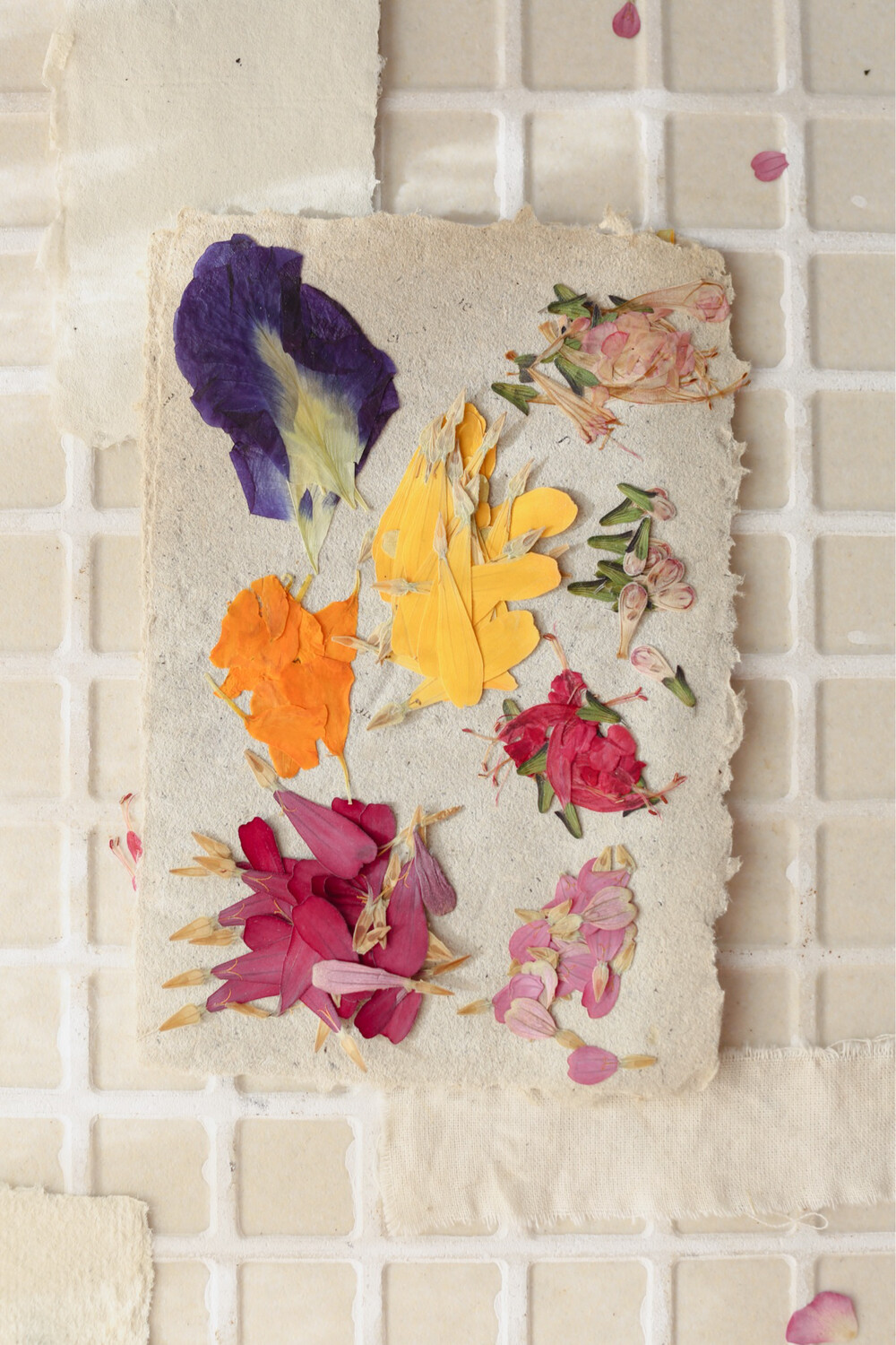 Crafty Ideas for Dried or Pressed Flowers ~ Bless My Weeds