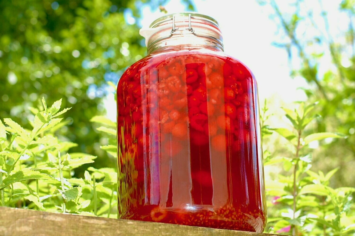 Himbeer-Balsam 250ml