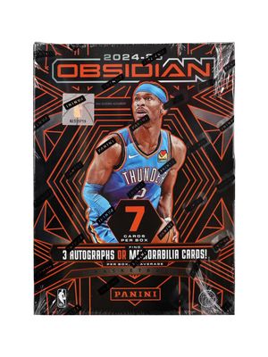 2024/25 Panini Obsidian Basketball Hobby Box