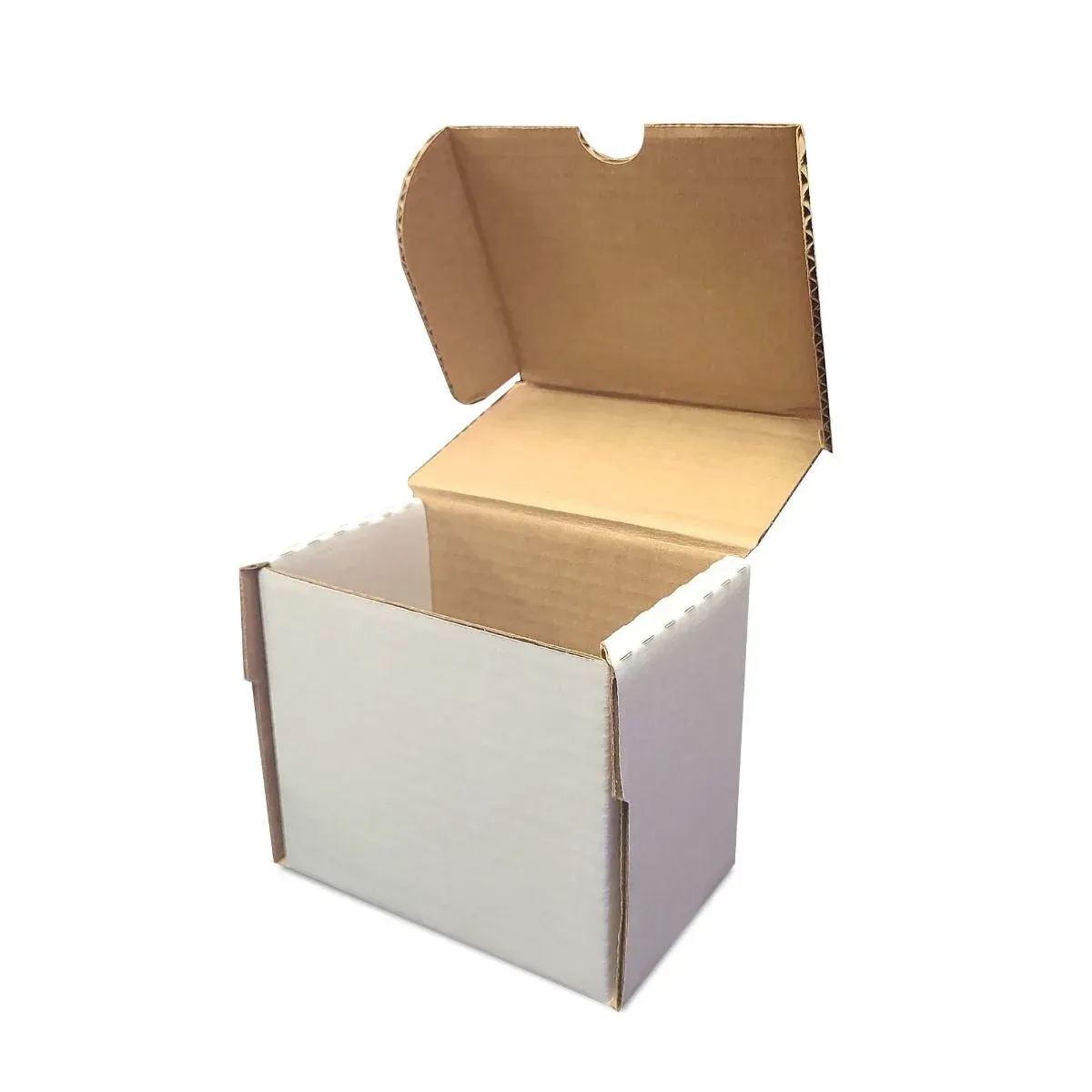 BCW - Magnetics &amp; Semi-Rigid #2 Storage Box (x15)