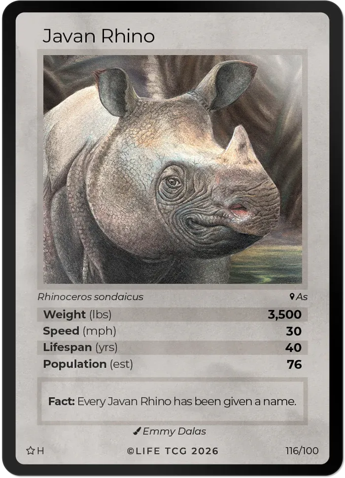 Life TCG - Mammals Special Edition Booster Box