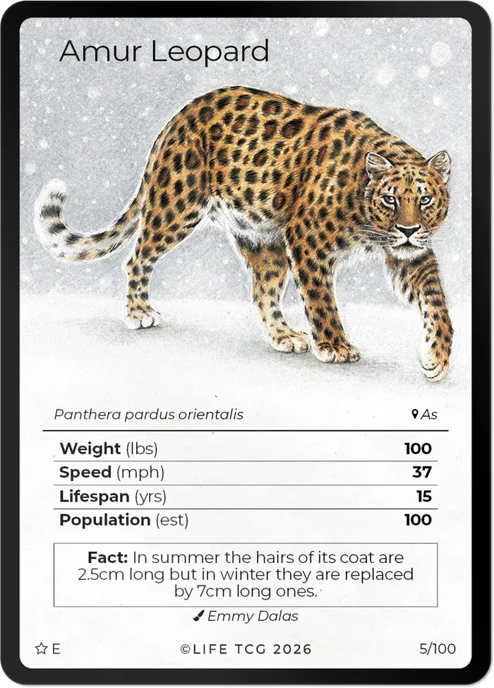 Life TCG - Mammals Special Edition Booster Box