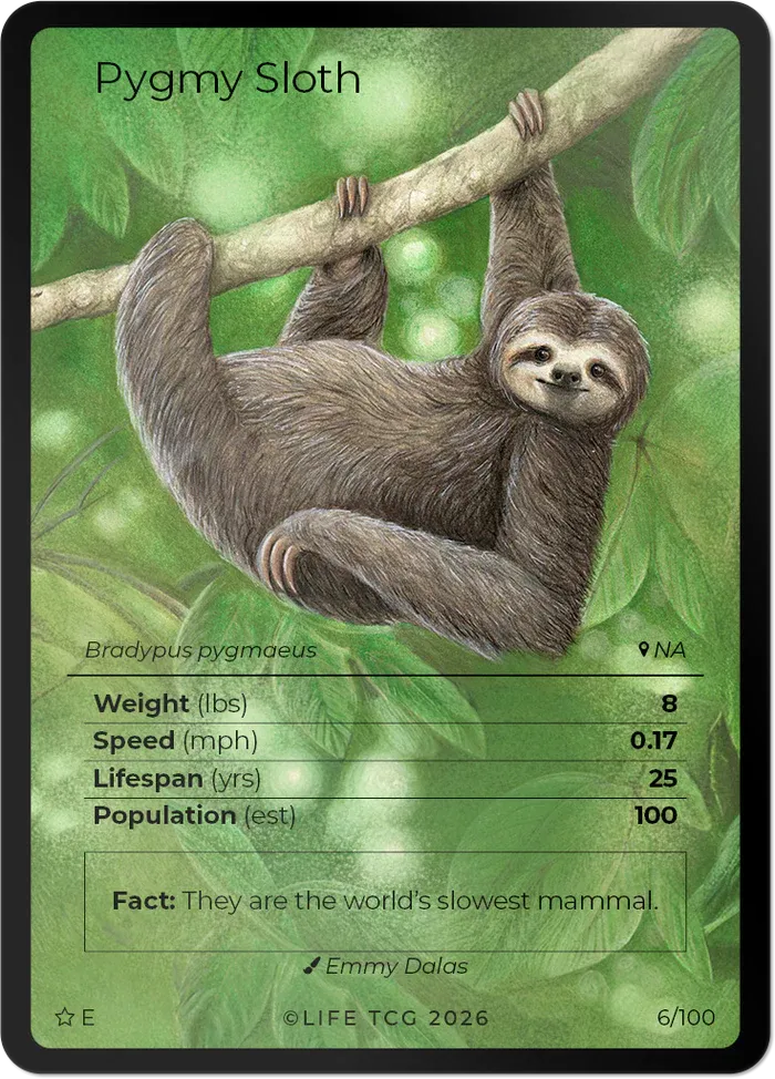 Life TCG - Mammals Special Edition Starter Box