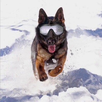 Dog Goggles - Large Dog Eye Protection Doggles Windproof Sunglasses Black