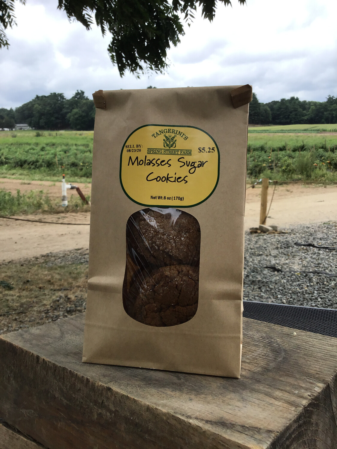 FP Molasses Cookies | 6 Pack FP Molasses Cookies | 6 Pack