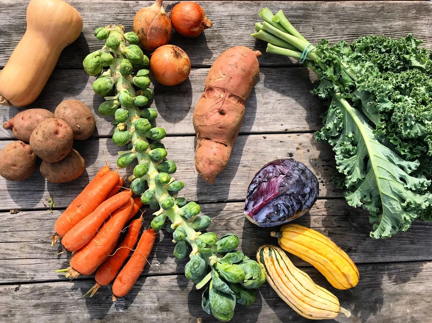 2021 CSA Winter Share 2021 CSA Winter Share