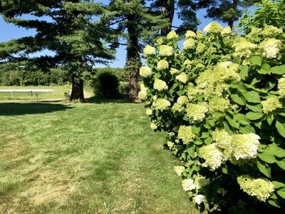 2021 CSA Flower Share 2021 CSA Flower Share