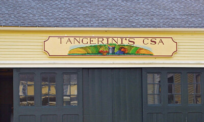 CSA Shares