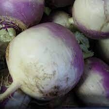 Purple Top Turnips | Tangerini's Own | 1lb