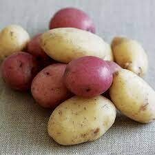 Potatoes | Tangerini's Own | 1 lb