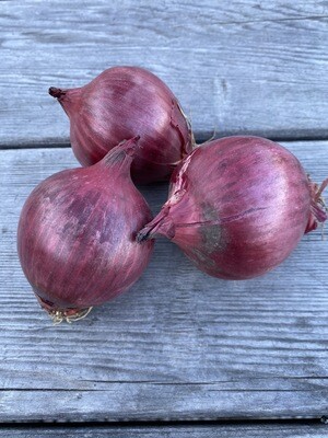 Red Onions | Tangerini's Own | 1 lb