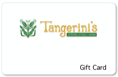 Gift Card- Purchased Online
