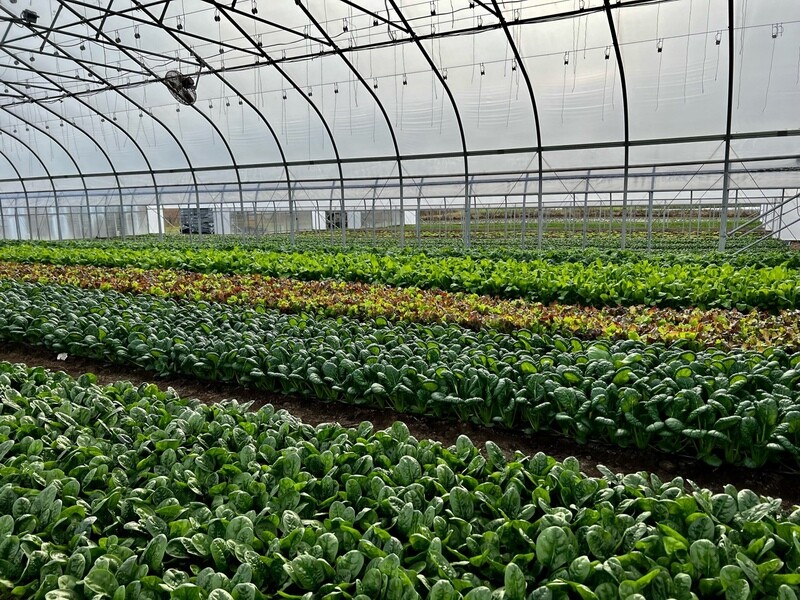 2026 Spring CSA Share