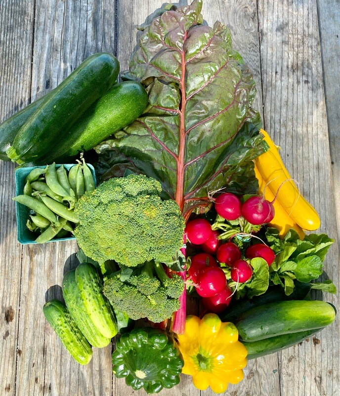 2026 Main Season CSA Share