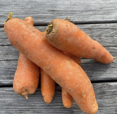 Carrots | Tangerini's Own | 1 lb