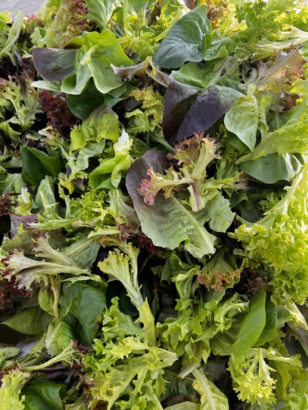 2027 Winter Greens CSA