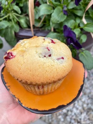 Christmas | Muffin 4 packs