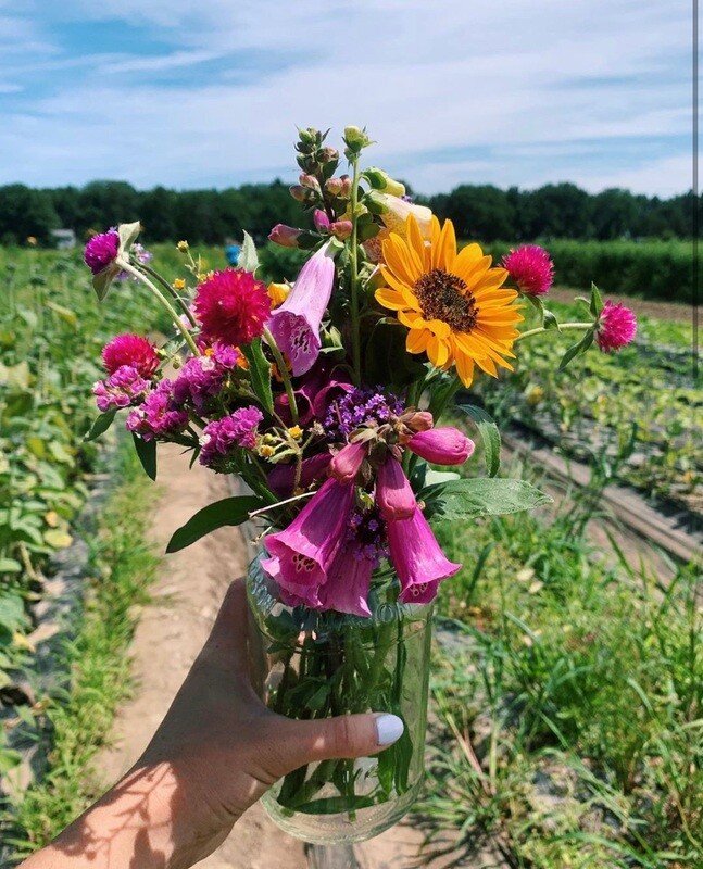 2026 UPick Flower CSA Share