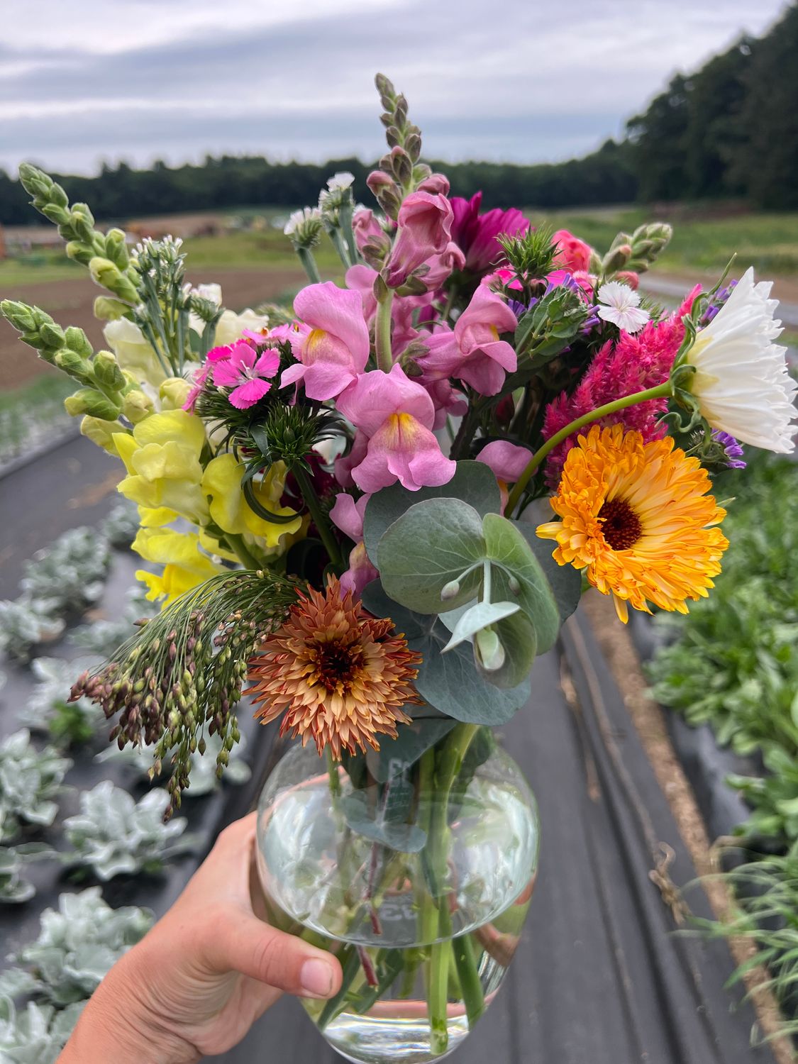 Sip &amp; Snip | July 23, 2026