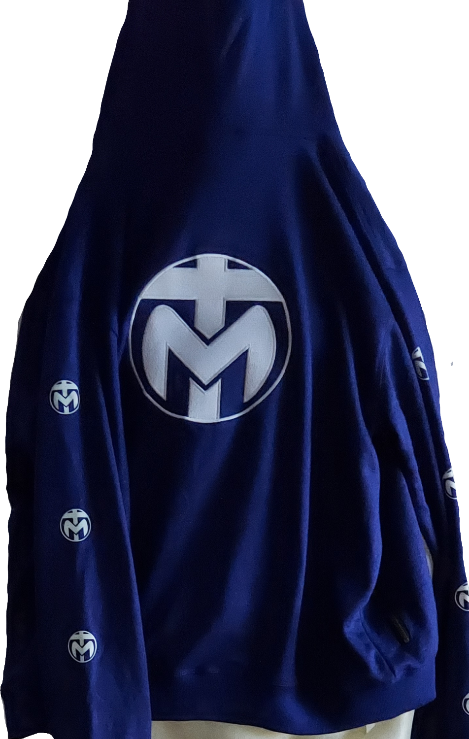 Glow logo Hoodie