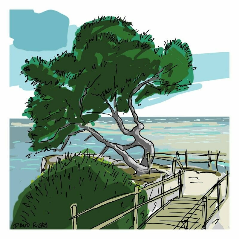 Camí de ronda