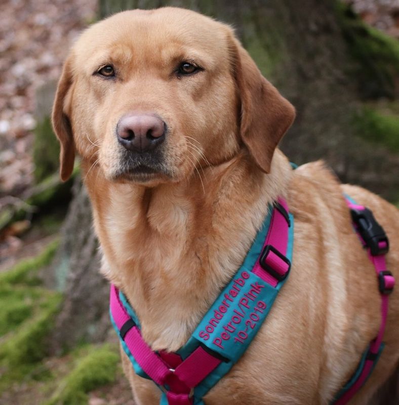 Telefonschild passend zu annyx Telefonschild passend zu annyx