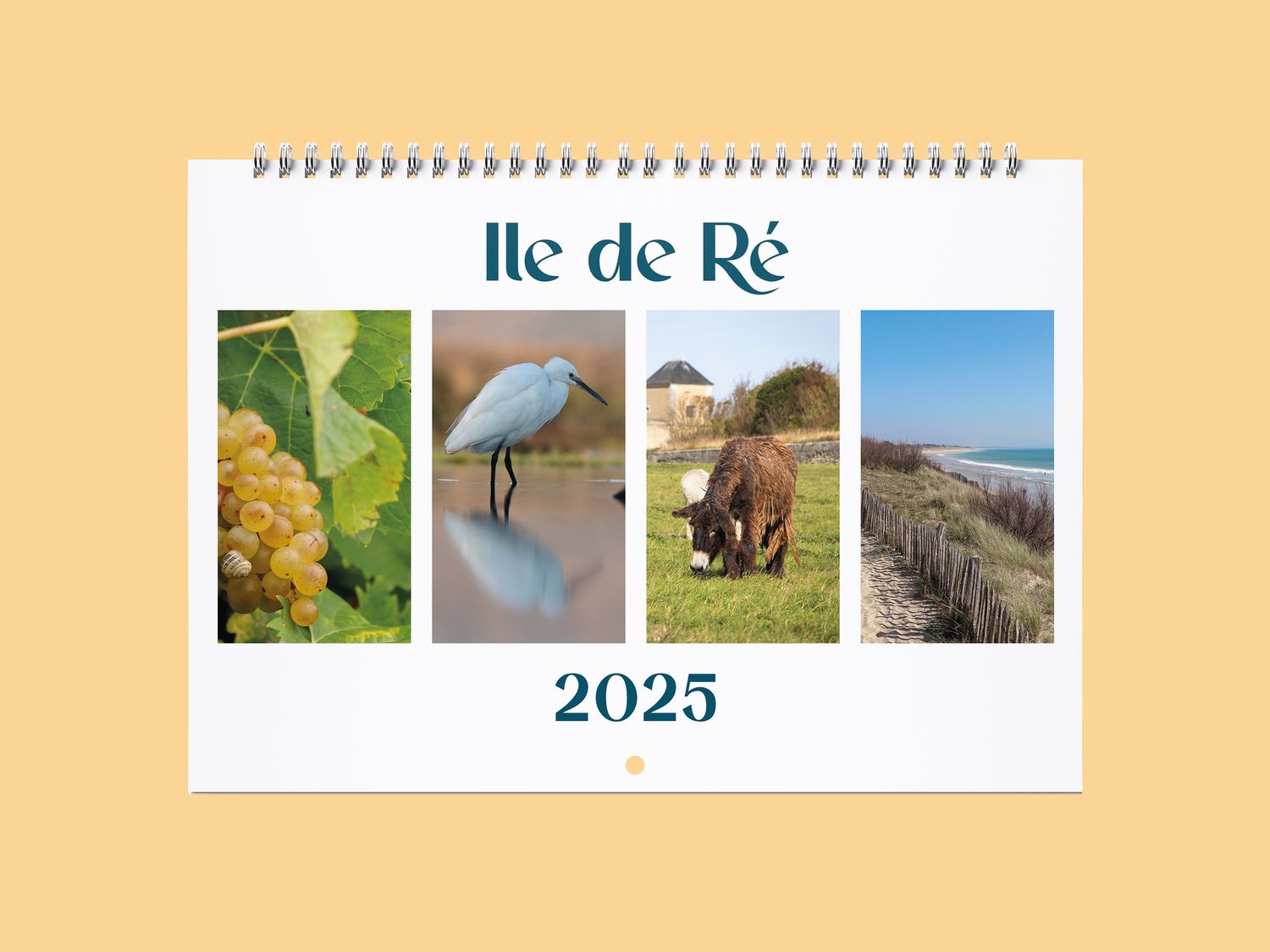 CALENDRIER 2025