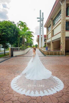 Wedding Veil