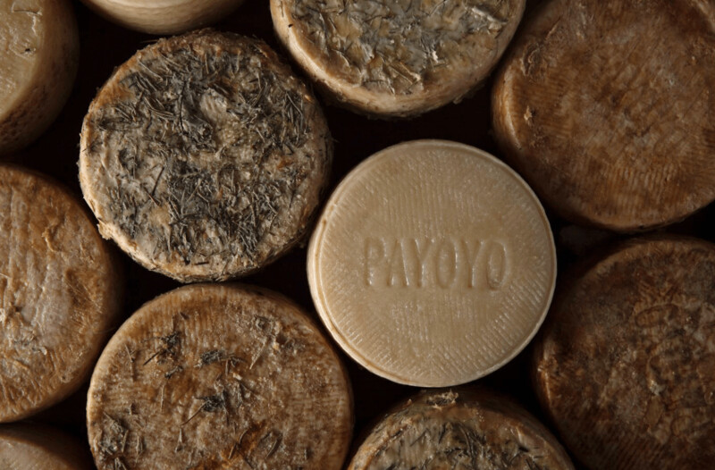 Queso Artesano de Cabra Payoya Semicurado  (1,8-2Kg  )