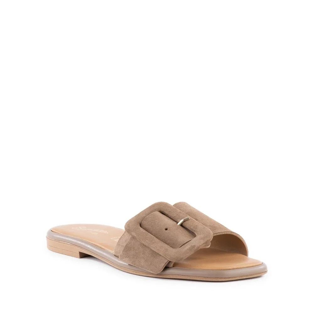 Manhattan Taupe
