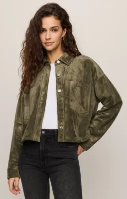 All Day Monstera