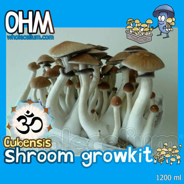 Shrooma 'OHM' rinkinys Shrooma 'OHM' rinkinys