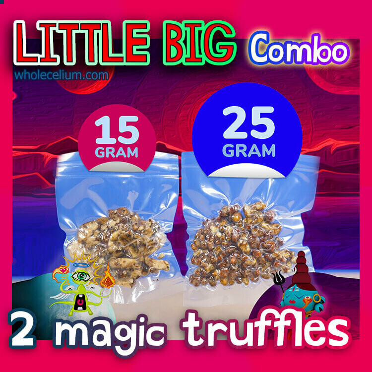 LITTLE BIG - حزمة COMBO (2x) LITTLE BIG - حزمة COMBO (2x)