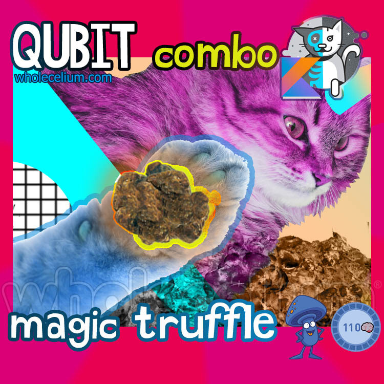 QUBIT ⏳ COMBO (4 por.) QUBIT ⏳ COMBO (4 por.)