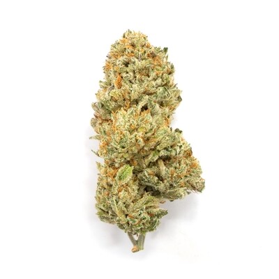 King Kush 
