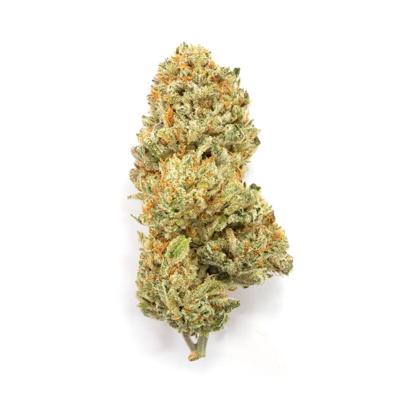 King Kush 